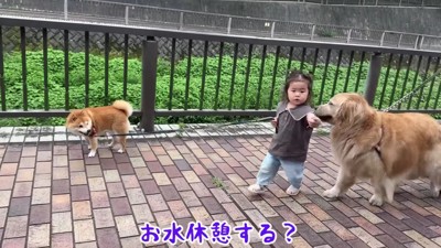 お水の時間になると…
