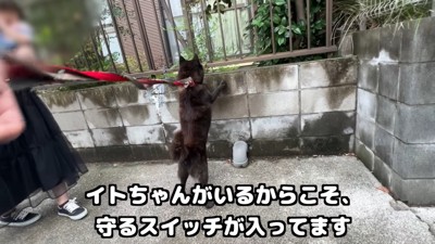 その後も安全を確認しながらお散歩