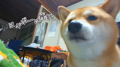 「面倒臭いことになったな～…」