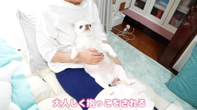 ヤキモチを妬くコハクくん9