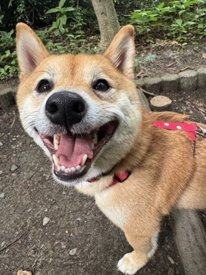 笑顔
