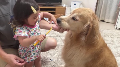 おからちゃんもじっと見守り