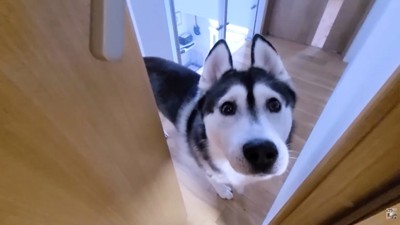 「ちょっと来てもらえます…？」