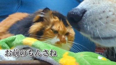 完全に拗ねてしまいました