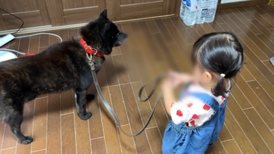 女の子とお散歩に出発