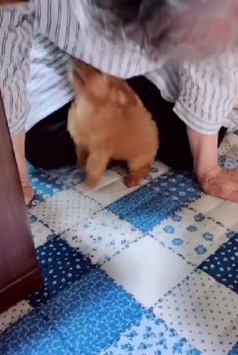 おばあちゃんが座ると…