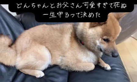 「雷が怖かったの…」