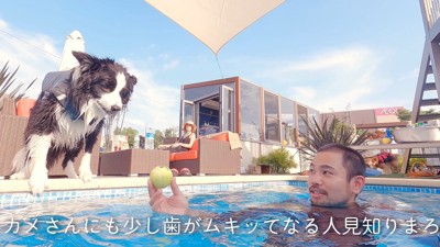 遊びに誘った時も、警戒心をあらわに