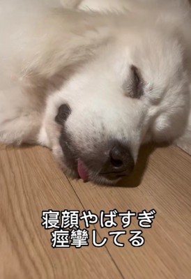 無防備な寝顔にホッコリ