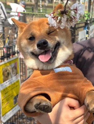 元気になってよかったね！！