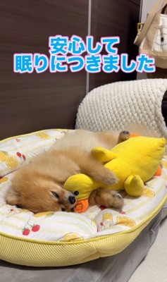 尊い姿にホッコリ♡