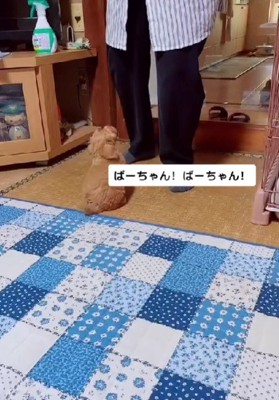 おばあちゃんが大好きに！