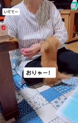 元気いっぱい遊ぶメリーちゃんでした