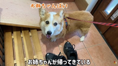 嬉しそう♪