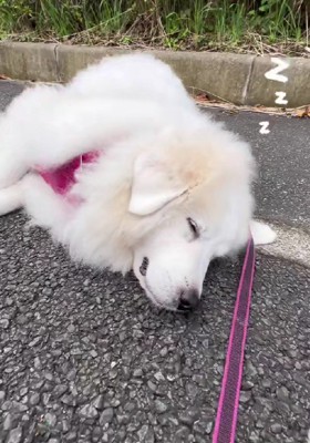 逞しさに感嘆…！