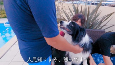 唸り始めるまろ君