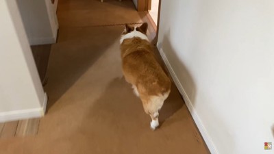 一目散にお姉ちゃんのもとへ