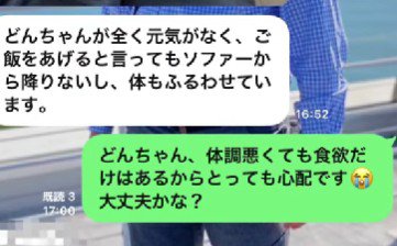 どんちゃんの元気がない