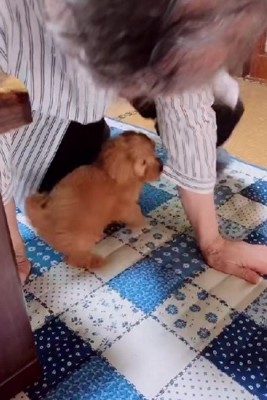 「やっと遊べる～♪」