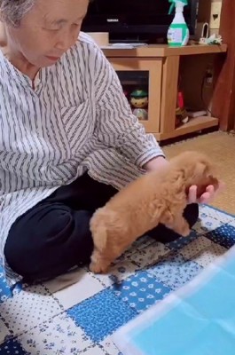 「なでて♡」