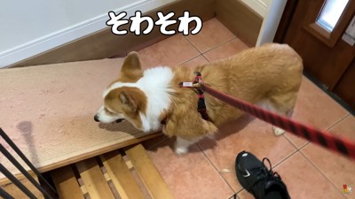 ソワソワ…