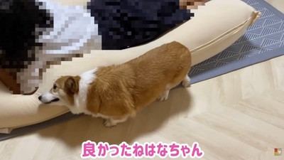 愛が止まらない♪