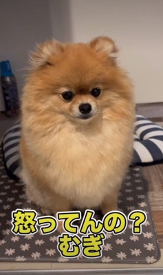「本当に大丈夫…?」