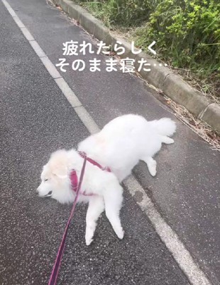 急にスイッチオフに…
