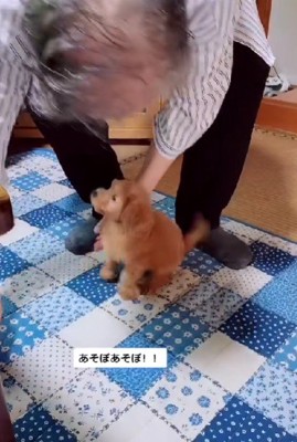 全身でアピール♪