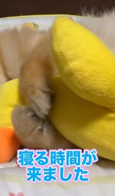 そっと渡してみると…