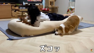 喜びすぎてズコッ