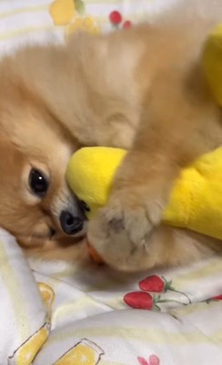 「もう離さないよ」