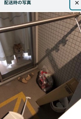 愛犬が写り込んでる!!