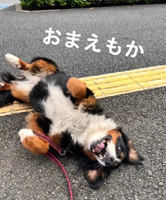 ジェニちゃんも…！！