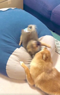 妹にも優しいお姉ちゃん!