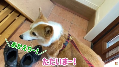 帰宅したら、お姉ちゃんの声が！