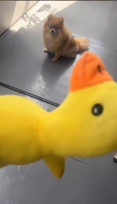 やっと乾いた!!