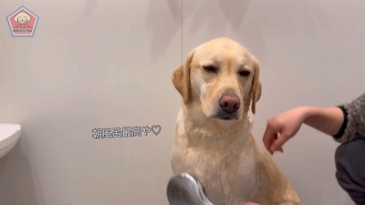 気持ち良さそう♪