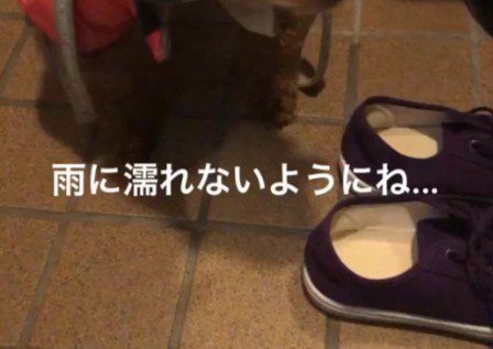 急に雨が降ってきて…