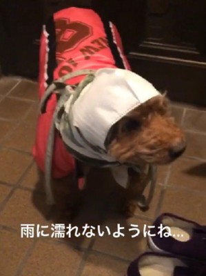 なんだかみじめかも…！？