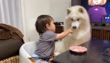 こはくちゃんが見ていたら…