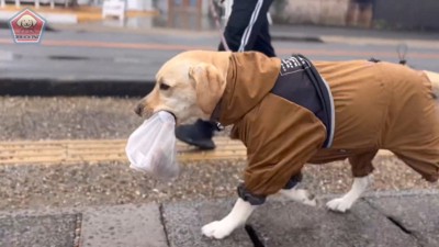 お家までパンを運んでくれます