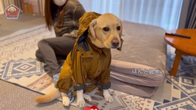 カッパが嫌でしょんぼり…