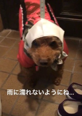 「これ、本当に合ってる…？」