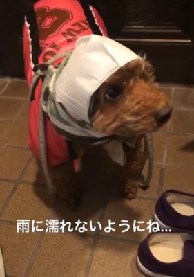 実用性はバツグン！？