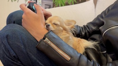 ゲーム