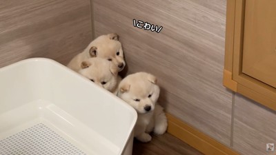 可愛い姿にキュン♡