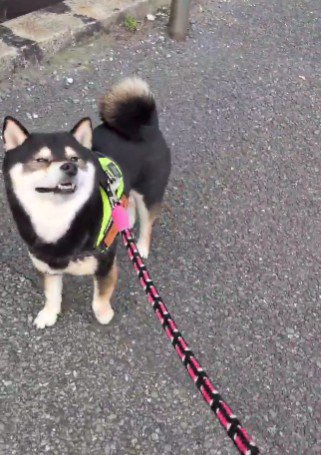「そろそろ春かな?」
