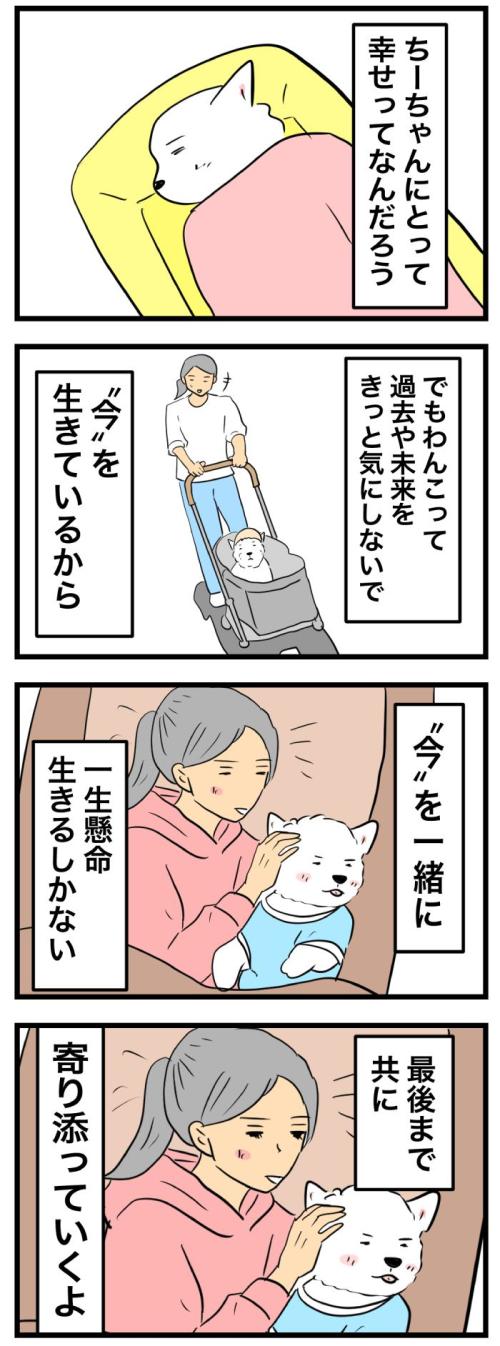ちーちゃんですけどもっ【第369話】　2