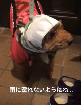 なんとも言えない表情